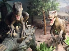 -国家自然博物馆