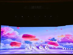 -中央芭蕾舞团·中芭艺蕾(酒仙桥明星校区)
