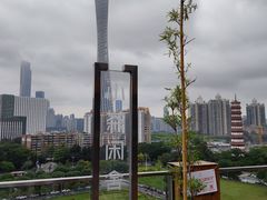-小茶闲舍·观景商务茶馆(广州塔店)