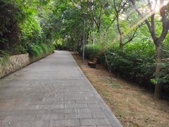 -牛岗山公园
