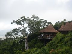 -三亚亚龙湾人间天堂鸟巢度假村