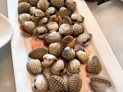 血蛤-华盛丰温州大排档(东三环南路店)