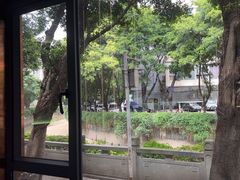 -探窝·竹笙椰子鸡(杨箕店)