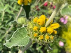 -上海植物园-4号门售票处