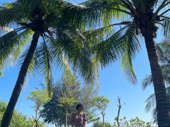 -三亚凤凰水城凯莱度假酒店