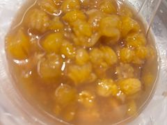 -金刚山烧烤(红旗大街店)