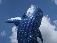 -珠海长隆海洋王国