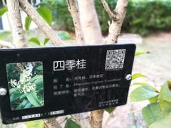 -清湖文化公园