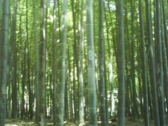 -杭州黄龙洞