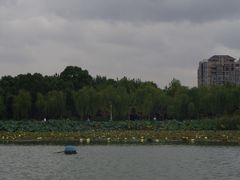 -暨阳湖生态园
