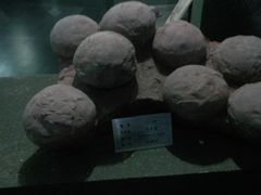 -金钉子远古世界景区