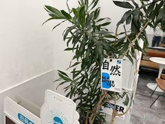 -Blueglass酸奶(上生新所店)
