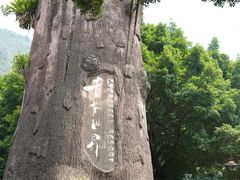 -青青世界