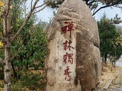 -遵化市禅林寺古银杏风景园