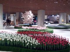 -Dough&Joe团憩(瑞虹天地月亮湾店)