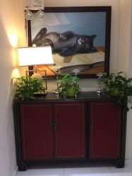 -咪咪比基尼脱毛专业店