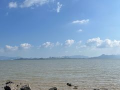 -深圳湾公园(南山区)
