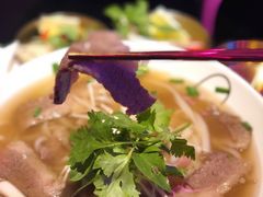 -MISS PHO·觅粉·越南粉实验室(保利文化广场店)