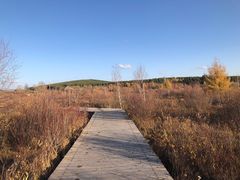 -塞罕坝国家级自然保护区