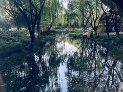 -杭州城北体育公园