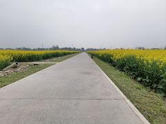 -中国天府农业博览园