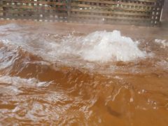 -春晖园度假酒店温泉