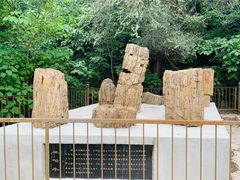 -宝塔苑-宝轮寺塔