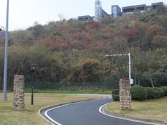 -羊山湖公园