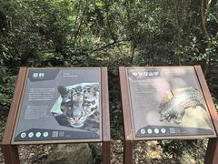 -三叠泉瀑布