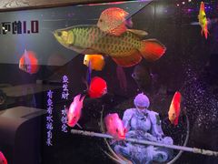 -零·壹新疆羊肉抓饭