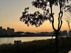 -江心屿景区