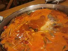 -新凯里酸汤鱼(飞山街店)
