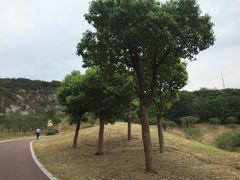 -南山风景名胜区