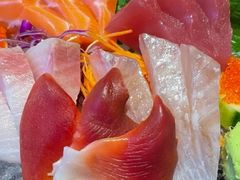 -Hatsune隐泉日式料理(三里屯太古里店)