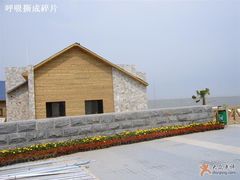 -碧海金沙