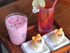 -柴犬高等学院·狗咖·柴犬售卖·宠物训练