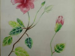 -上海峰子美术教育培训机构(杨浦店)