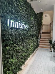 -悦诗风吟innisfree