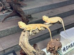 -华声天桥民俗文化园