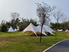 -森波拉奇妙世界