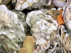 -蚝山·喷汽火山生蚝(前福路店)