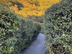 -大屏嶂森林公园