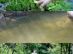 -云岫谷自然风景区