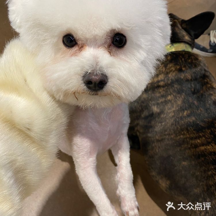 贵阳探店|CC park新开的这家咖啡店太好看了