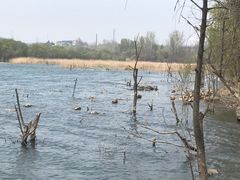 -淇河国家湿地公园