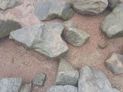-深圳湾公园(南山区)