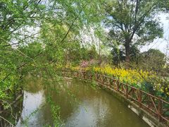 -南汇桃花村