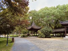 -范蠡湖公园