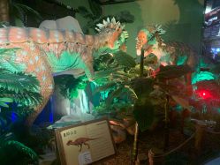 -恐龙探索乐园(磁器口店)