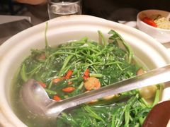 原汁原味西洋菜-煲煲好(朝阳门店)